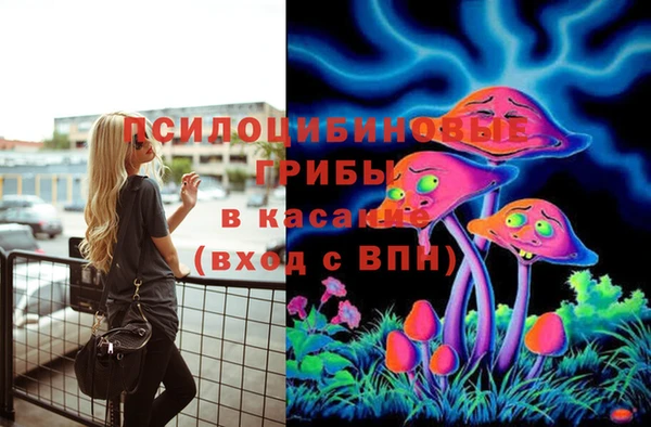 2c-b Армянск