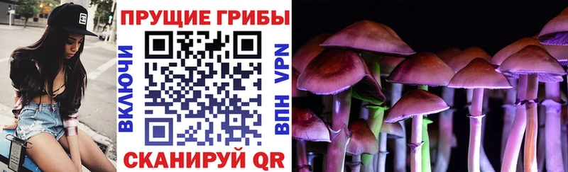 где найти   Белая Холуница  кракен рабочий сайт  Псилоцибиновые грибы прущие грибы 